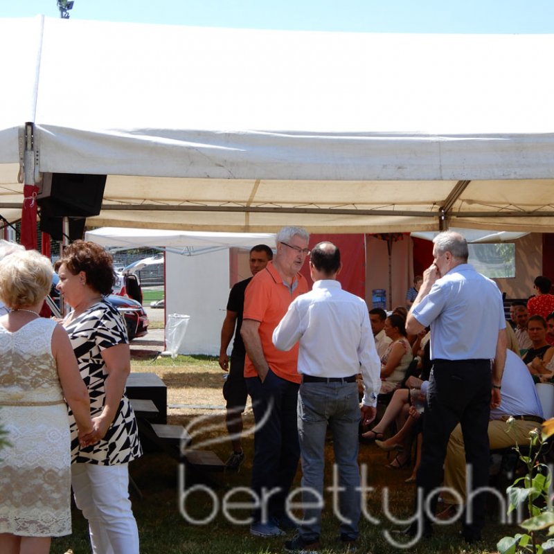 Semmelweis napi party 08